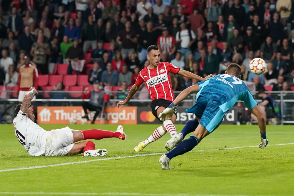 它的主要目 它的主要目